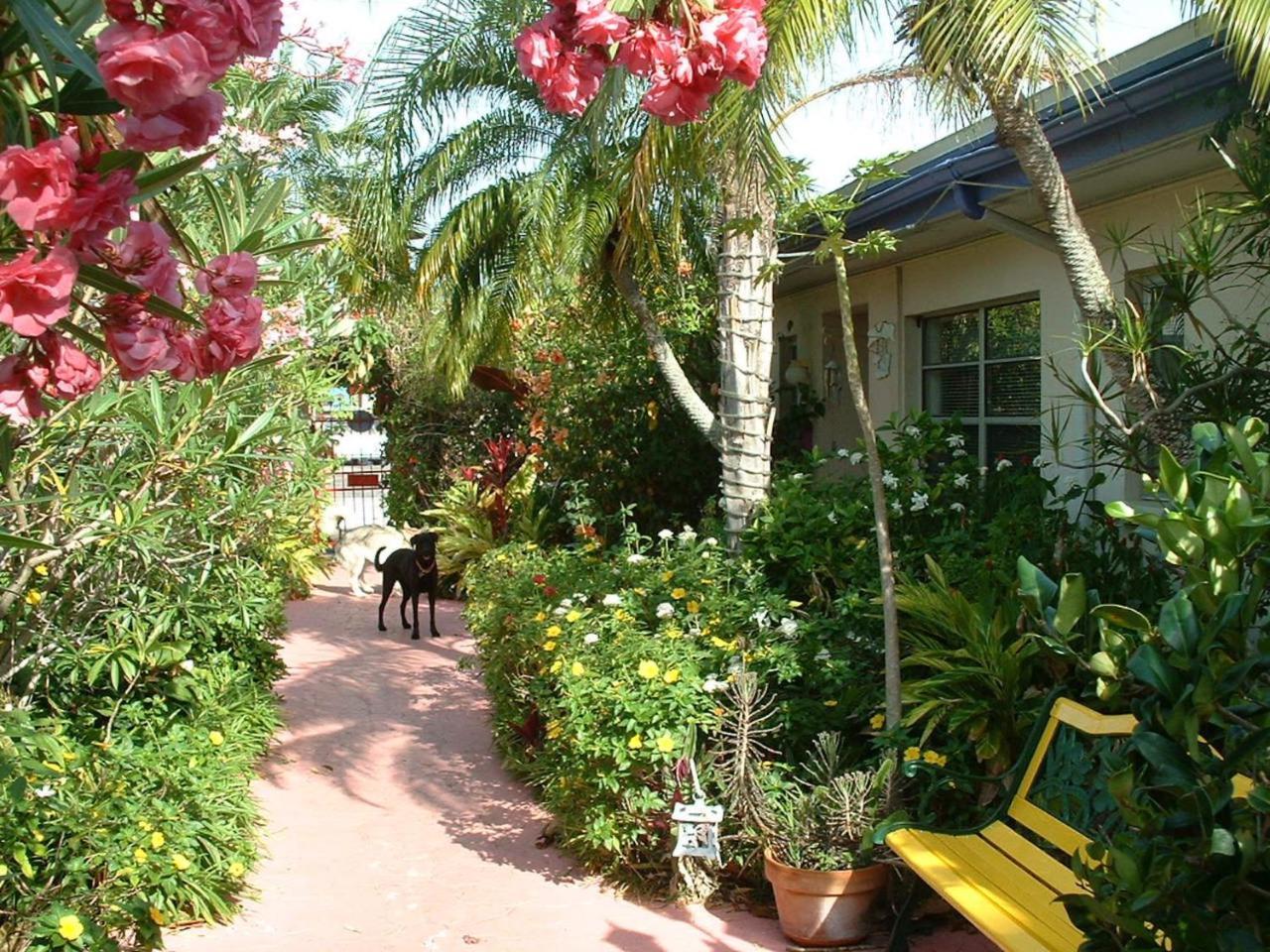Affordable Beach Condos - One Bedroom Dlx Condos St. Pete Beach Εξωτερικό φωτογραφία