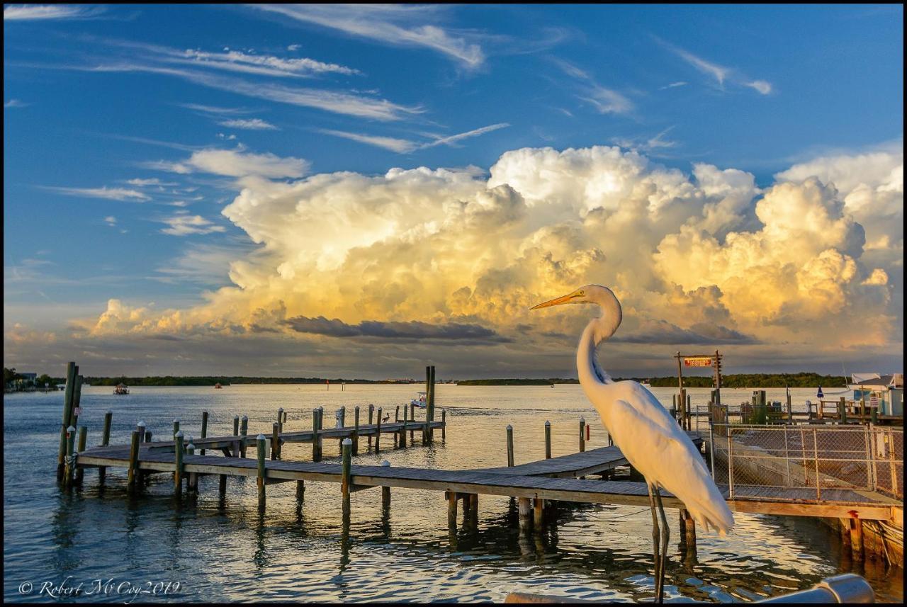 Affordable Beach Condos - One Bedroom Dlx Condos St. Pete Beach Εξωτερικό φωτογραφία